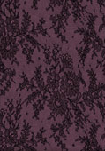 Electric Lilac Lace