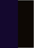 Purple/Black