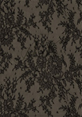Semi-Trans Black Lace