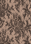 Semi-Trans Flesh Lace