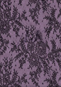 Semi-Trans Lilac Lace
