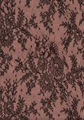 Semi-Trans Pink Lace