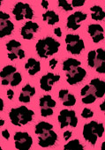 Vibrant Hot Pink Leopard