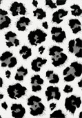 White Leopard